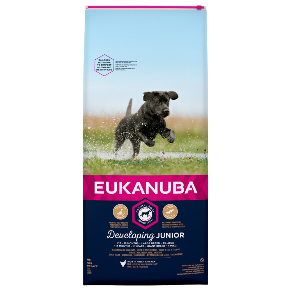 Eukanuba Dog Developing Junior Large12 kg