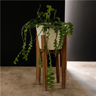 Cache-pots sur pieds