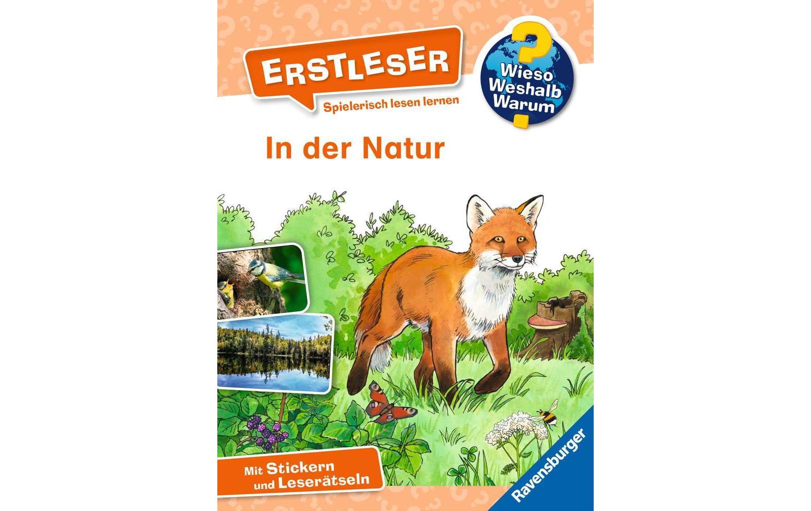 Kinder-Sachbuch WWW Erstleser: In der Natur (Band 10)Lesetraining, Sachwissen und Spielspass!