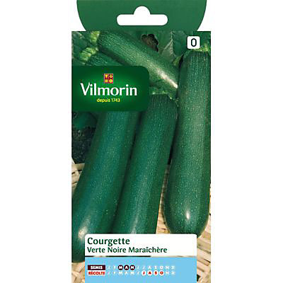 Graines de Courgette Verte noire maraîchère