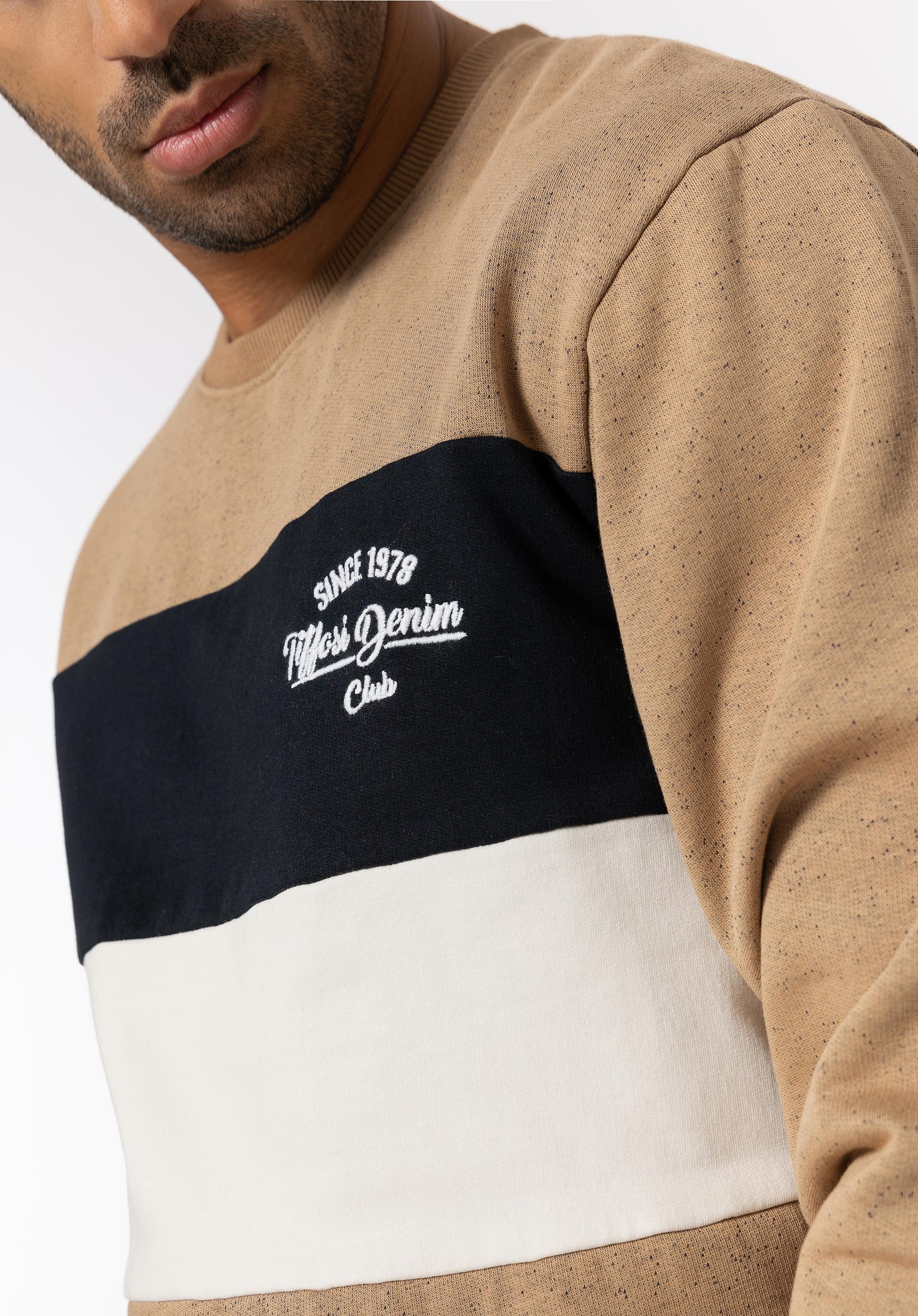 Sweatshirt Tricolor