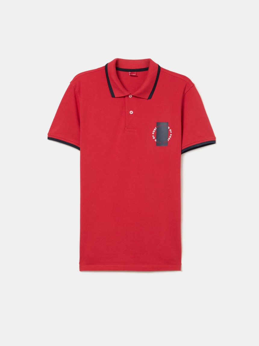 Polo piqué com riscas e estampado