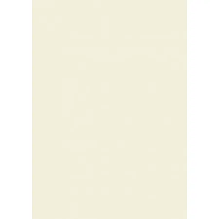 Heyda Fotokarton/204716407 DIN A4 perlweiß 300 g/qm Inh.50 Blatt