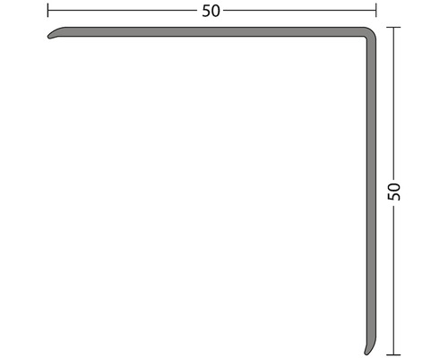 Hoekbeschermingsbeugel aluminium zilver ongeperforeerd 50x50x1500 mm