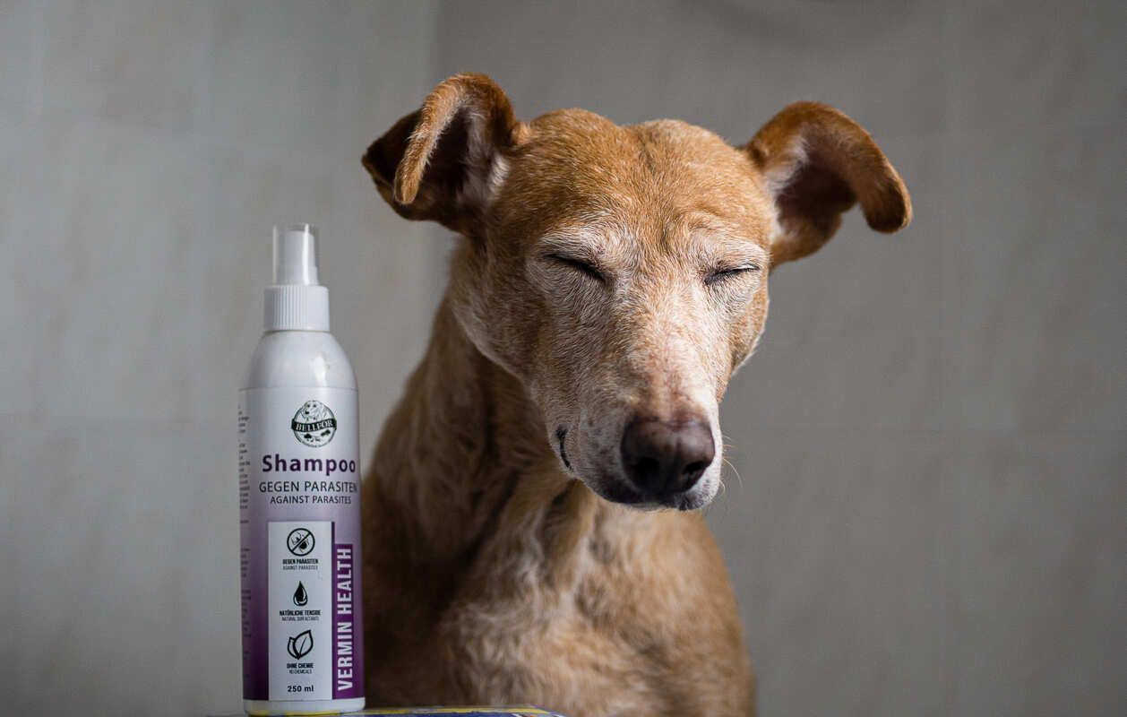Bellfor Hundeshampoo Vermin Health - gegen Hautparasiten beim Hund