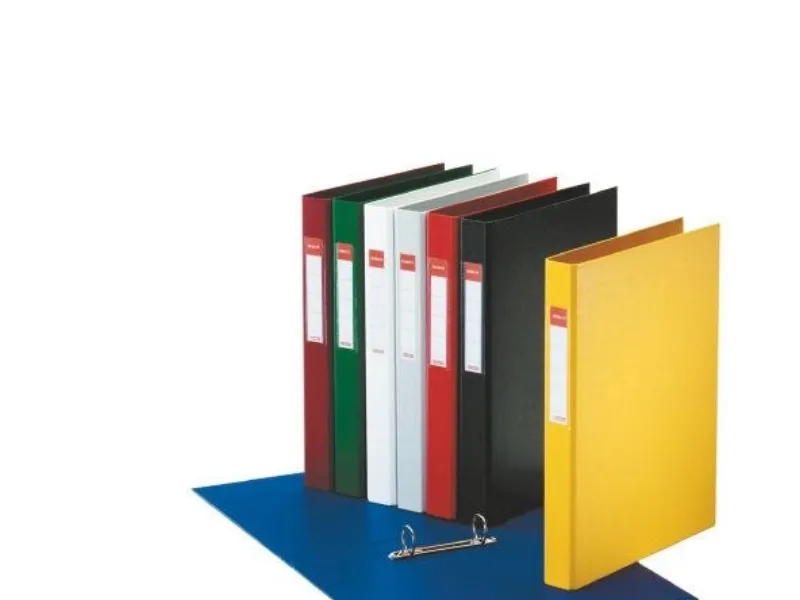 Ringordner Esselte FSC® A4 2RR/25 mm Grå - (10 stk.)