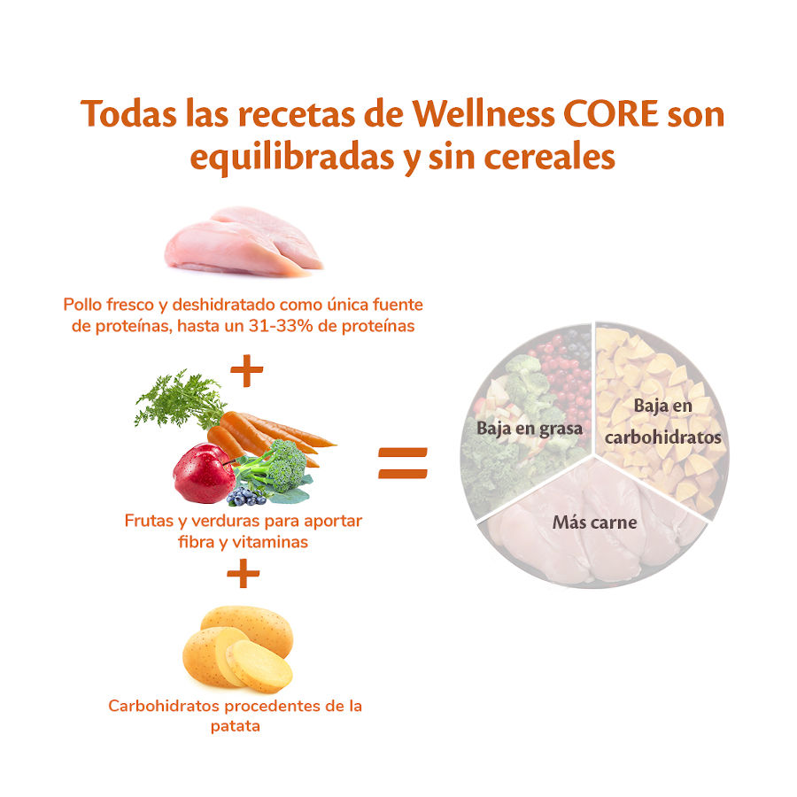 Ração para cães Wellness Core Puppy de porte pequeno/médio, 1,5 kg, sabor frango e peru.