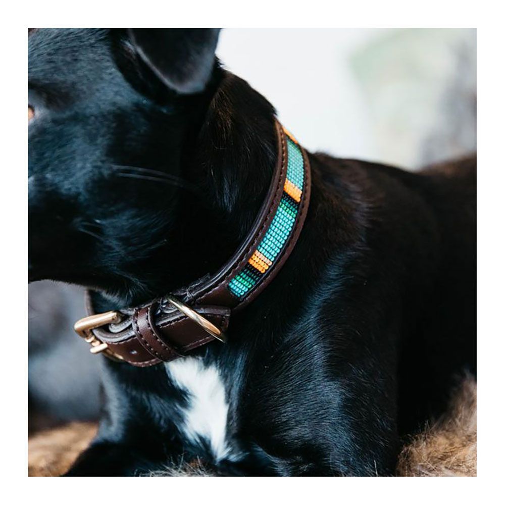 Kentucky PEARLS -  Collier pour chien bleu clair