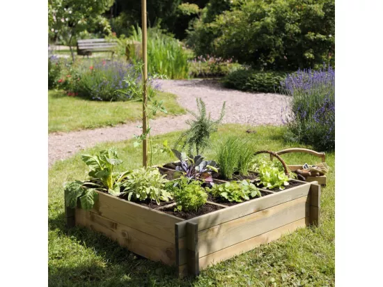Carré potager à poser 9 cases Cardon
