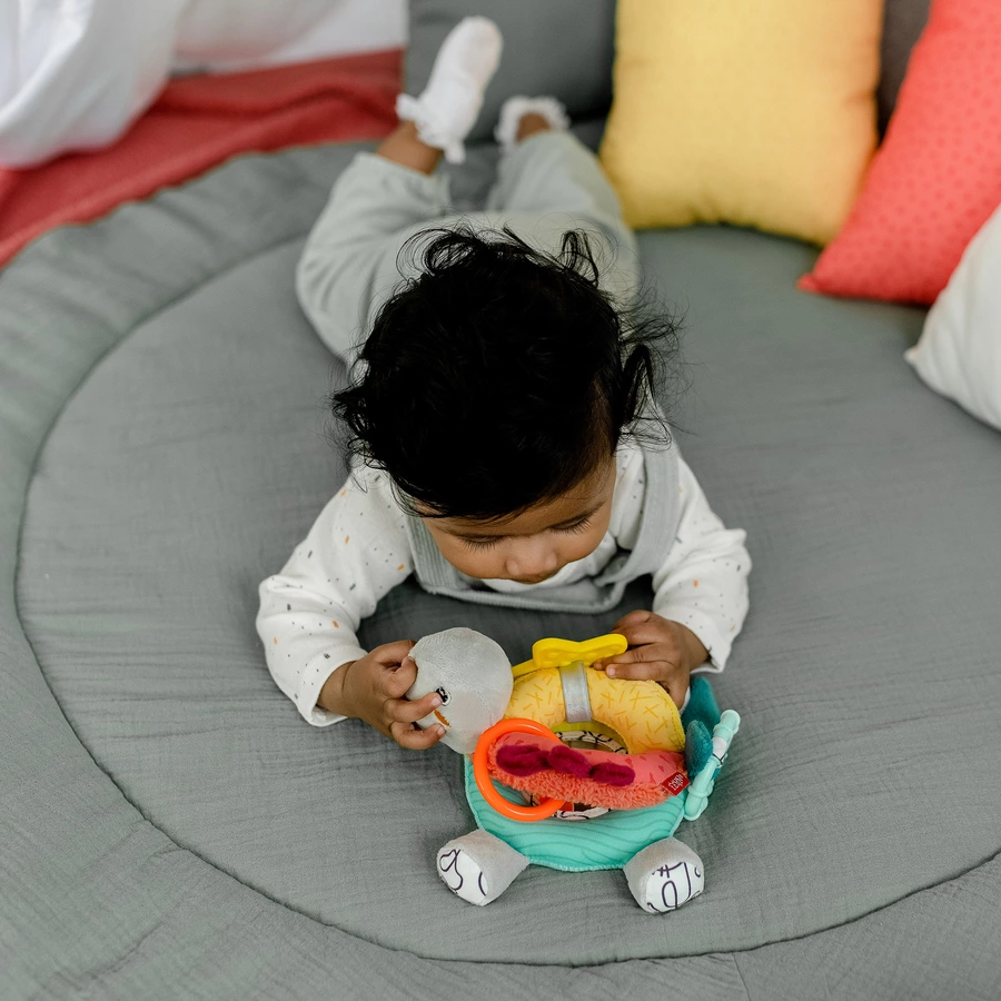 fehn® Activity-Schildkröte