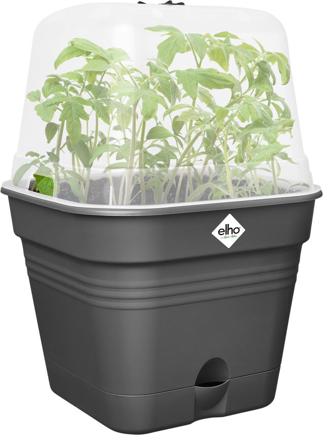 Elho kweekbak Green Basics zwart 34,6 x 34,6 x 29,2 cm
