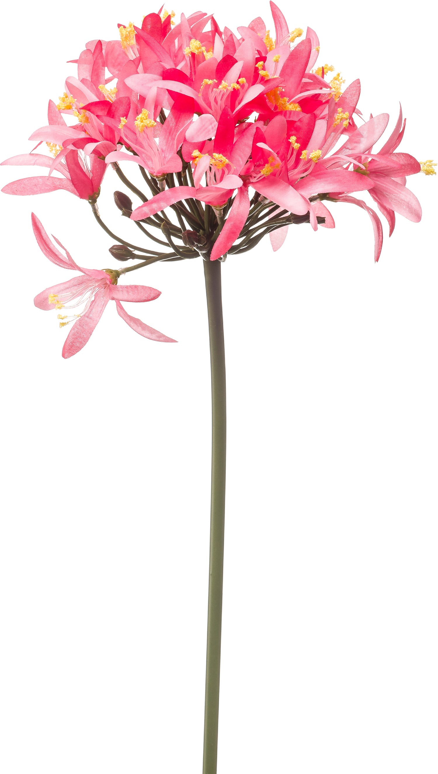 Emerald kunstbloem Afrikaanse lelie paars 80 cm