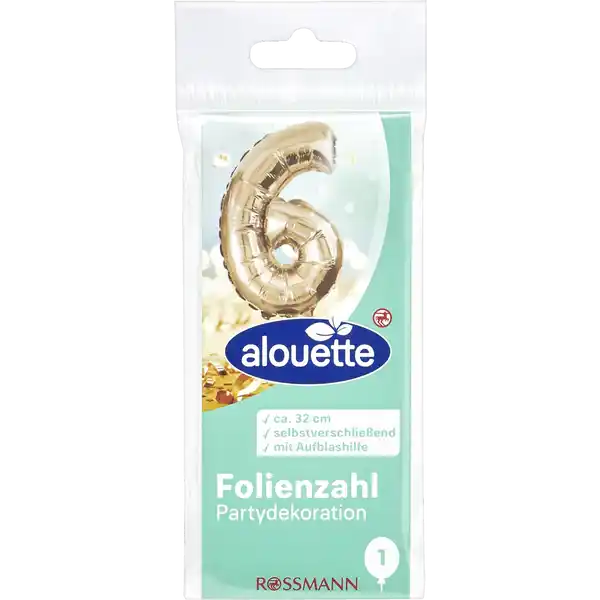 Folienzahl 6