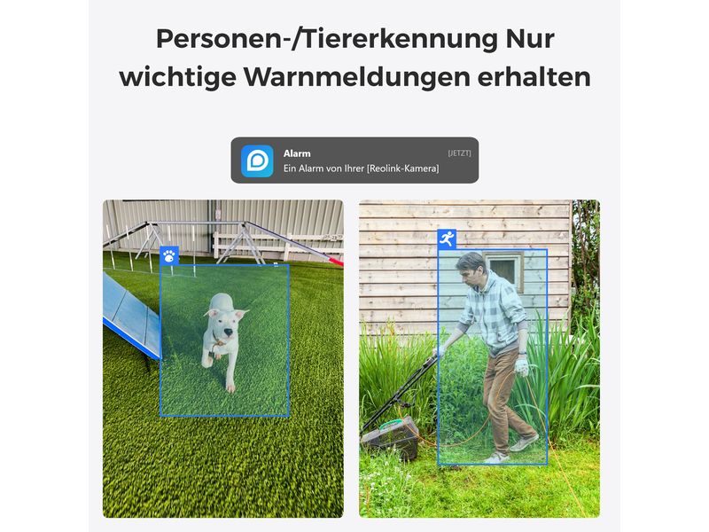 Reolink Netzwerkkamera E330 Weiss Kompakte & Smarte Indoor Kamera mit Schwenk & Neige