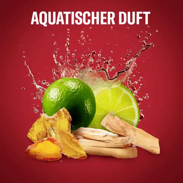 3in1 Duschgel Whitewater XL