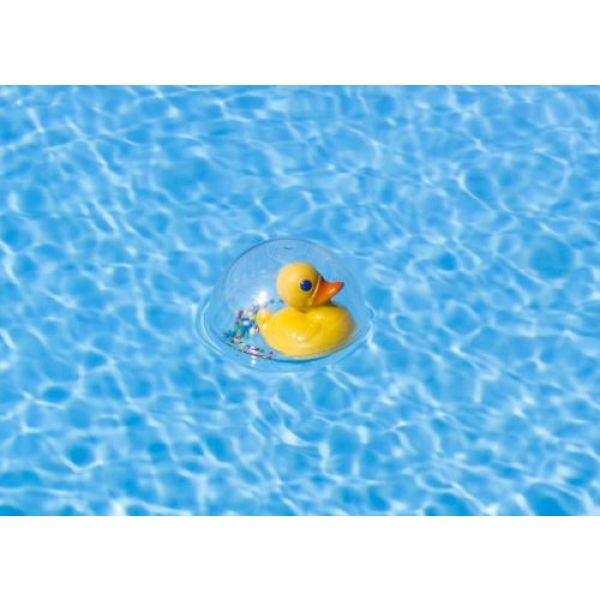 Jouet bulle de bain canard Bass et Bass