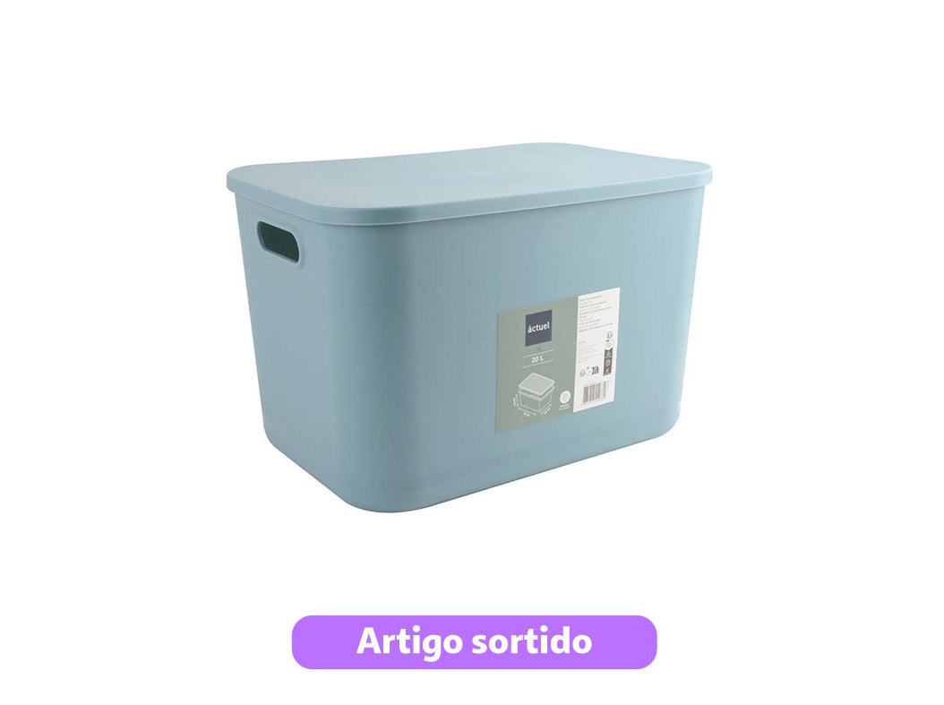 CAIXA ARRUMAÇÃO PLÁSTICO ACTUEL COR PASTEL 37X26X24CM CORES SORTIDAS