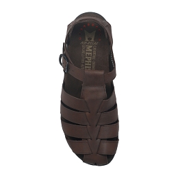 sam  OLDBRUSH 11951  DARK BROWN