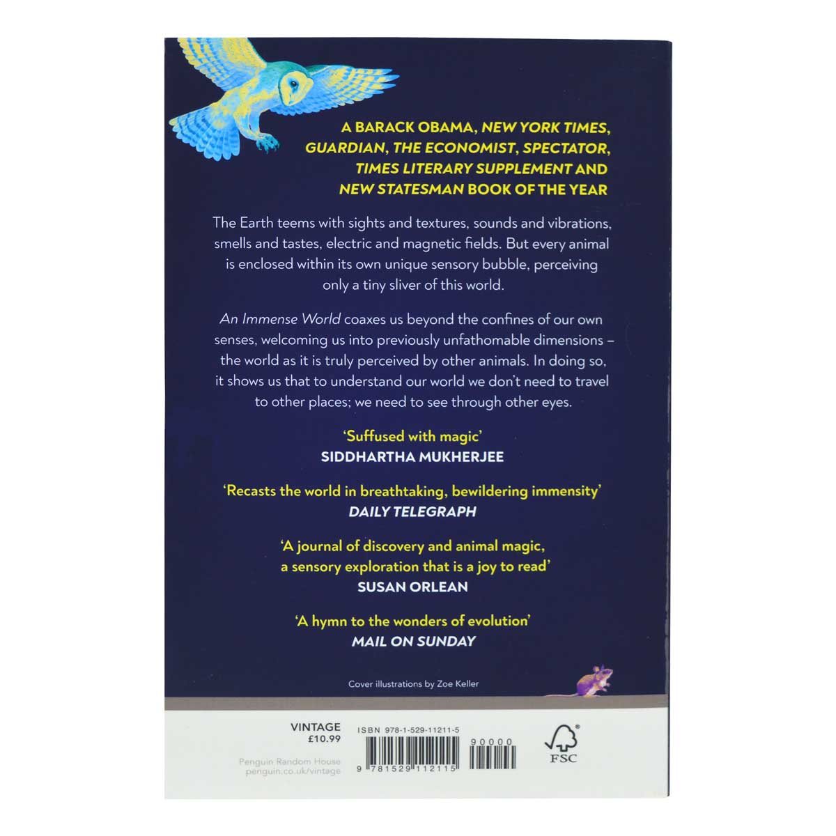 An Immense World (Paperback)