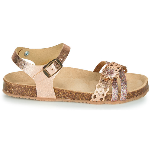 GBB - PANORA - Rose Gold