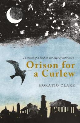 Orison for a Curlew: In Search of a Bird on the Edge of Extinction (Paperback)