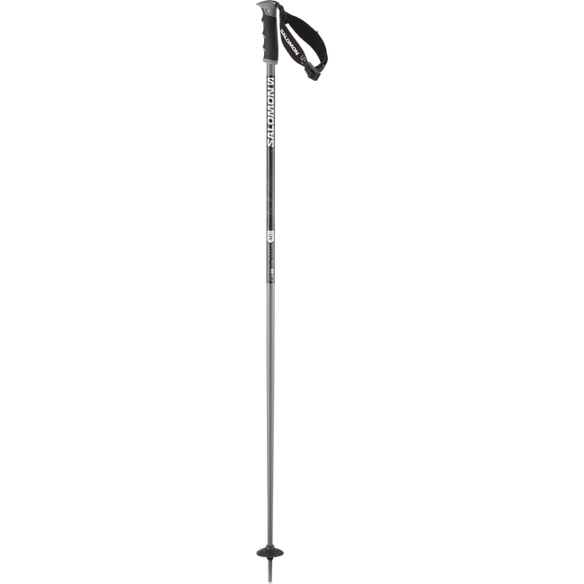 ARCTIC S3  Alpinstöcke Unisex