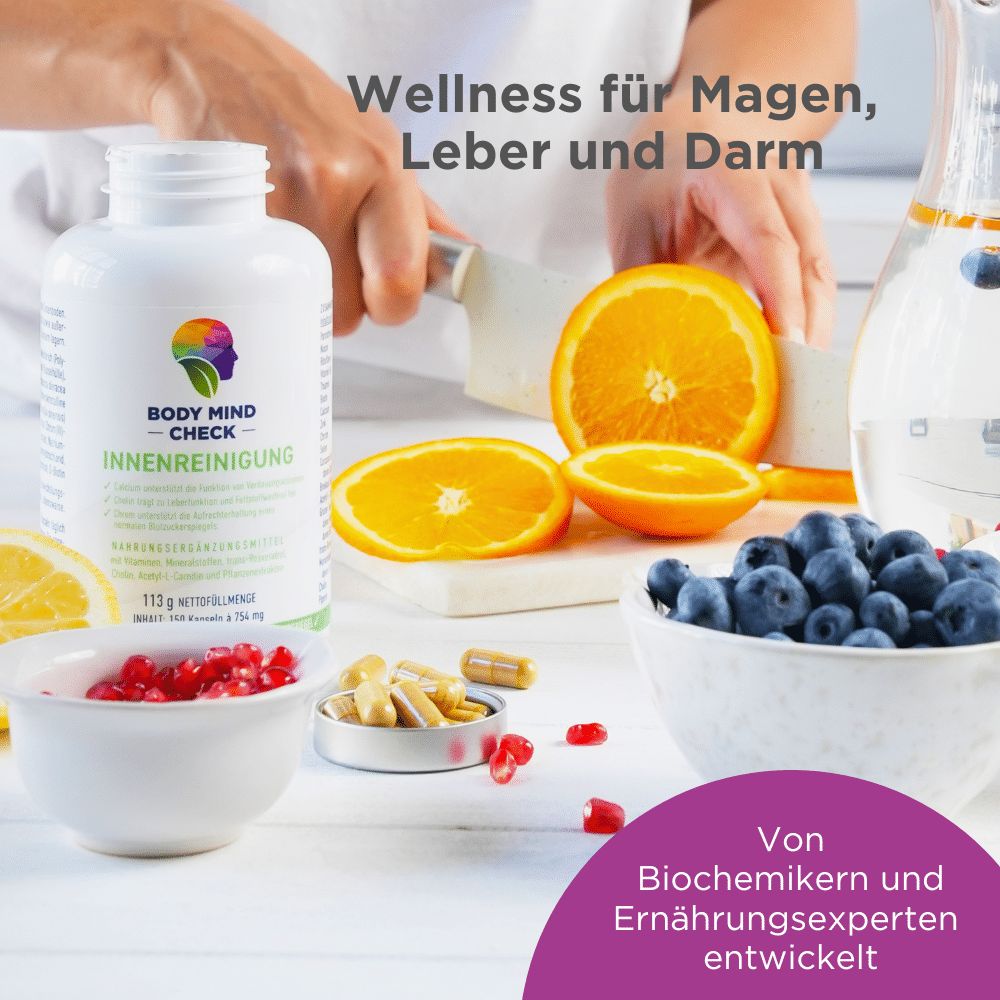 BodyMindCheck INNENREINIGUNG