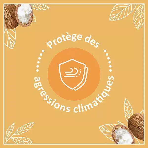 Le Petit Marseillais Protetor Labial com Karité, Amêndoa Doce e Argan - Kit com 2 unidades de 4,9g