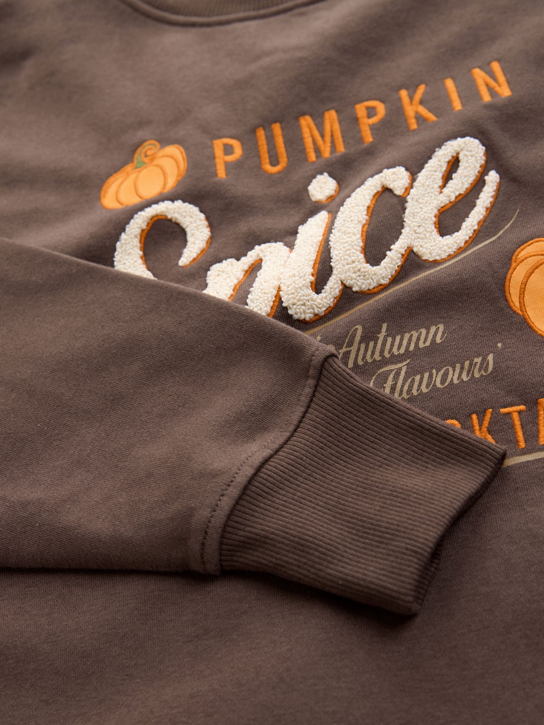 Chocoladebruin - Grafische Halloween-pompoen Martini crewneck sweatshirt met lange mouwen