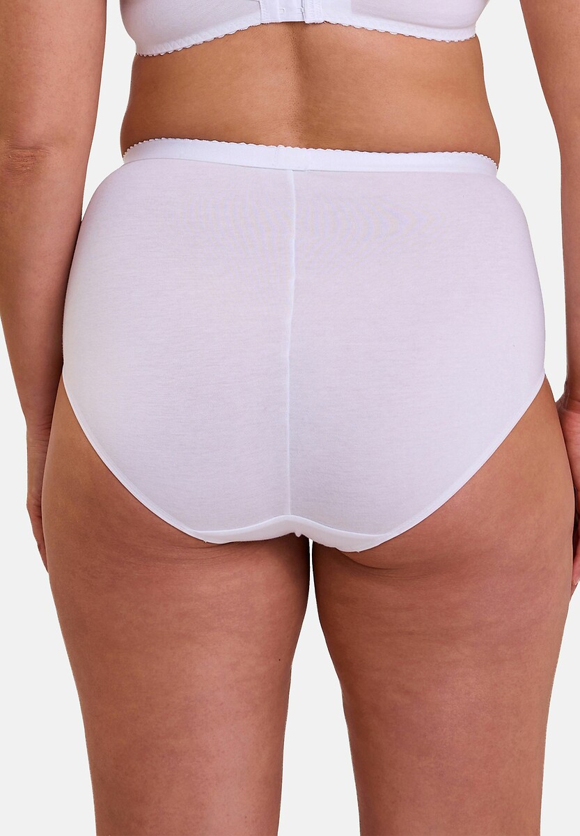 SEM INCONSEGURANÇAS<br>Cuecas Maxi Cotton D'arum