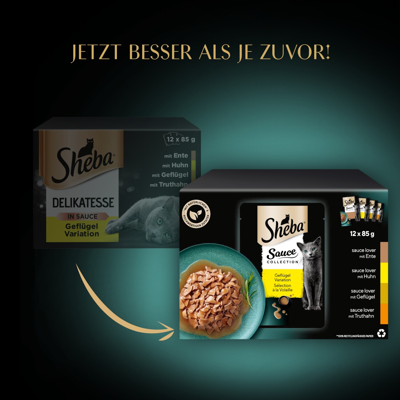 Sheba Sauce Collection Nassfutter Katze Adult, Mixpaket, in Sauce 12x85 g Geflügel Auswahl