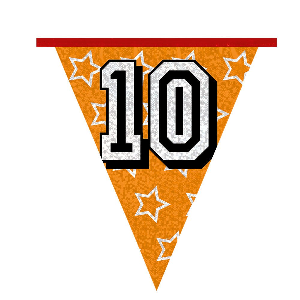 Slingers 10 Jaar Glitter 8m