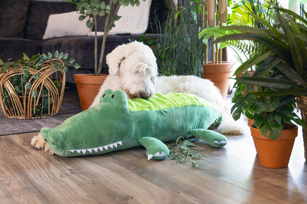 Beeztees Hide and Seek Jungle Krokodil - Snuffelmat - Hondenspeelgoed - Groen - 1x54x84 cm