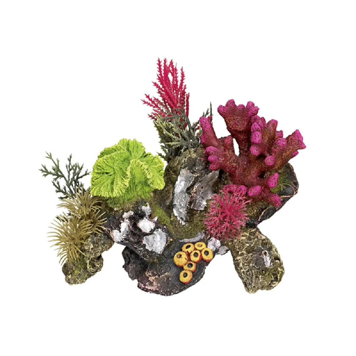 Nobby Coral Deco