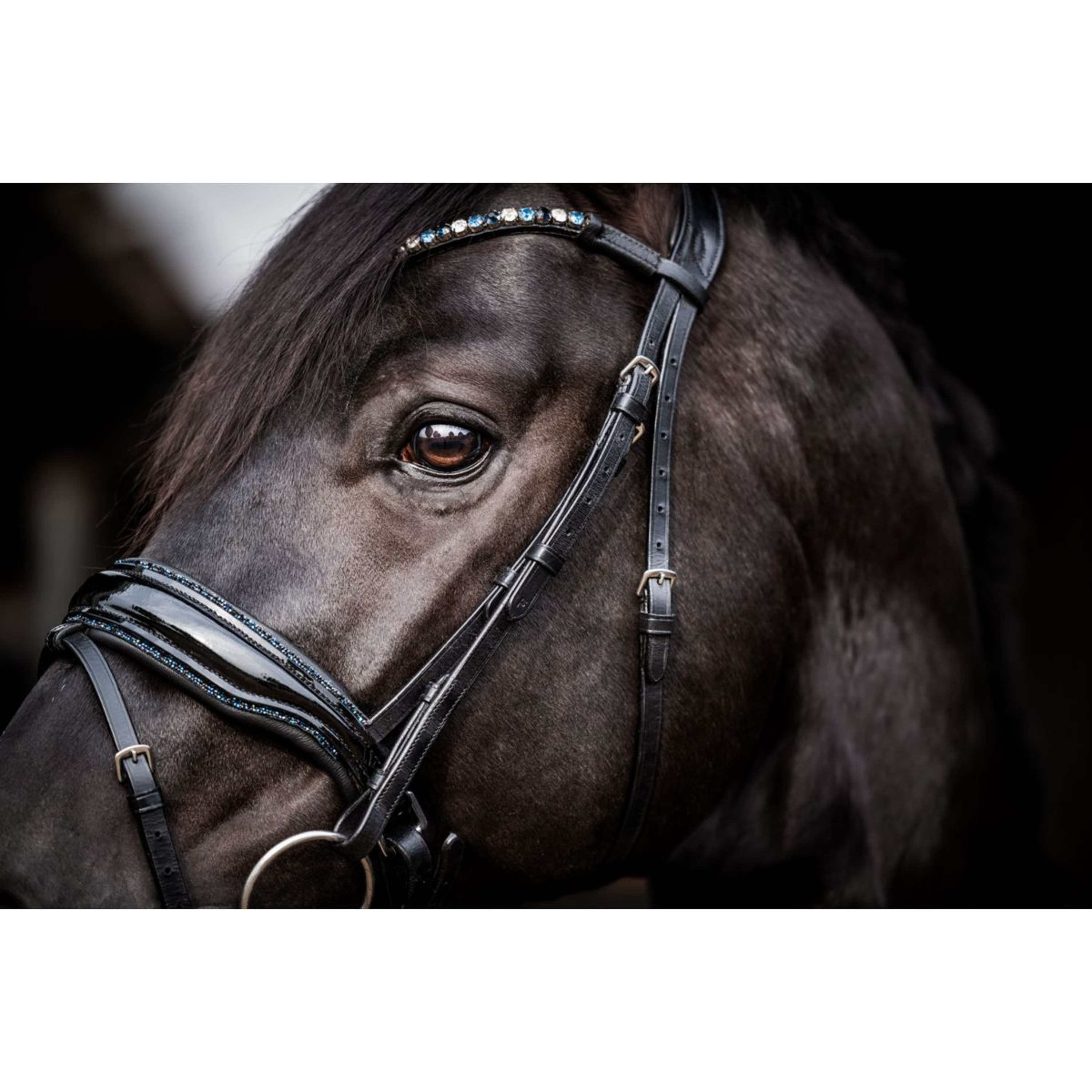 HB Hoofdstel Showtime Evalira Blauw/Zwart