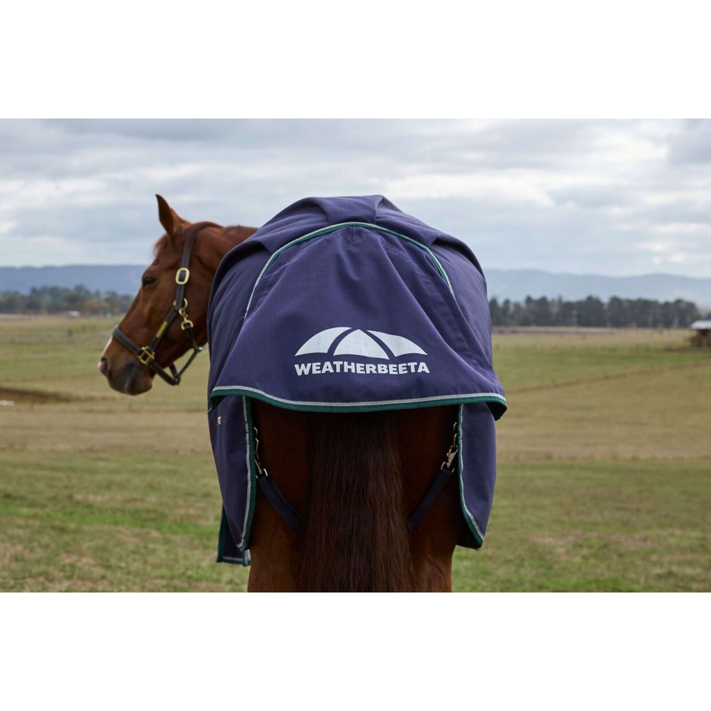 WeatherBeeta ComFiTec Plus Dynamic Turnout 100g Navy/Forest Green