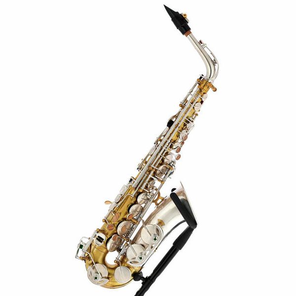 Rampone & Cazzani Two Voices Alto Sax OTS
