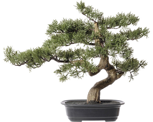 Kunstmatige bonsai cederplant, hoogte: 40 cm, groen