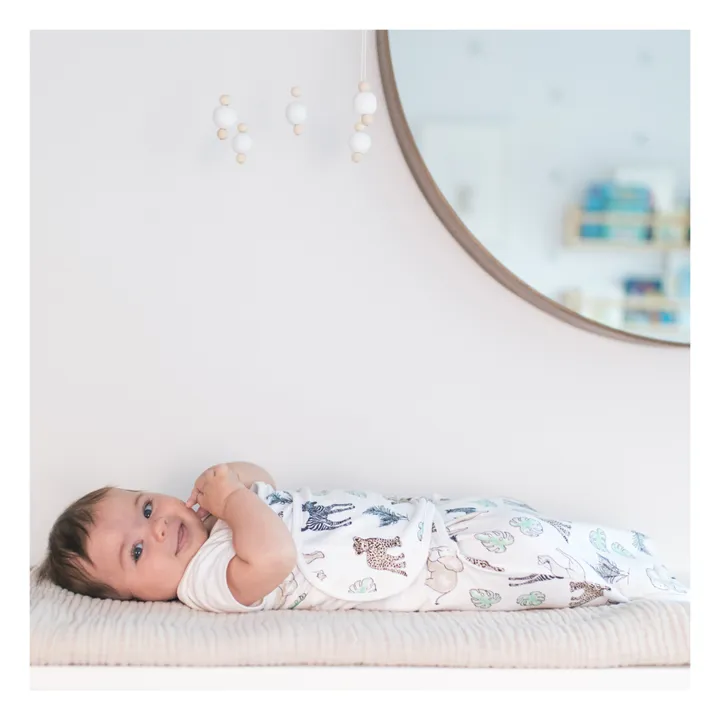 aden + anais Langes d'emmaillotage - Set de 3 | Gris clair