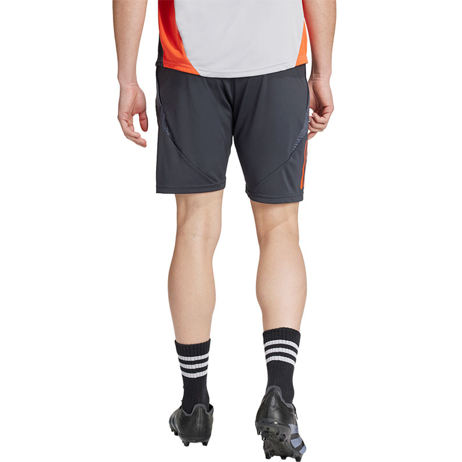adidas SL Benfica Trainingsset