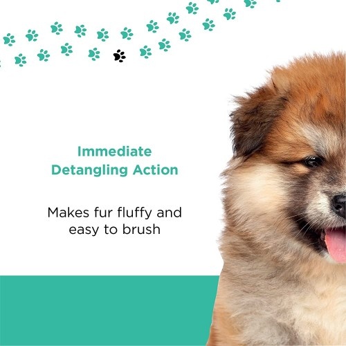 Spray desembaraçante PETUCHI com aroma floral para cães