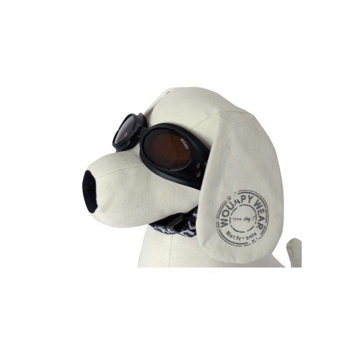 Lunettes de soleil pour chien