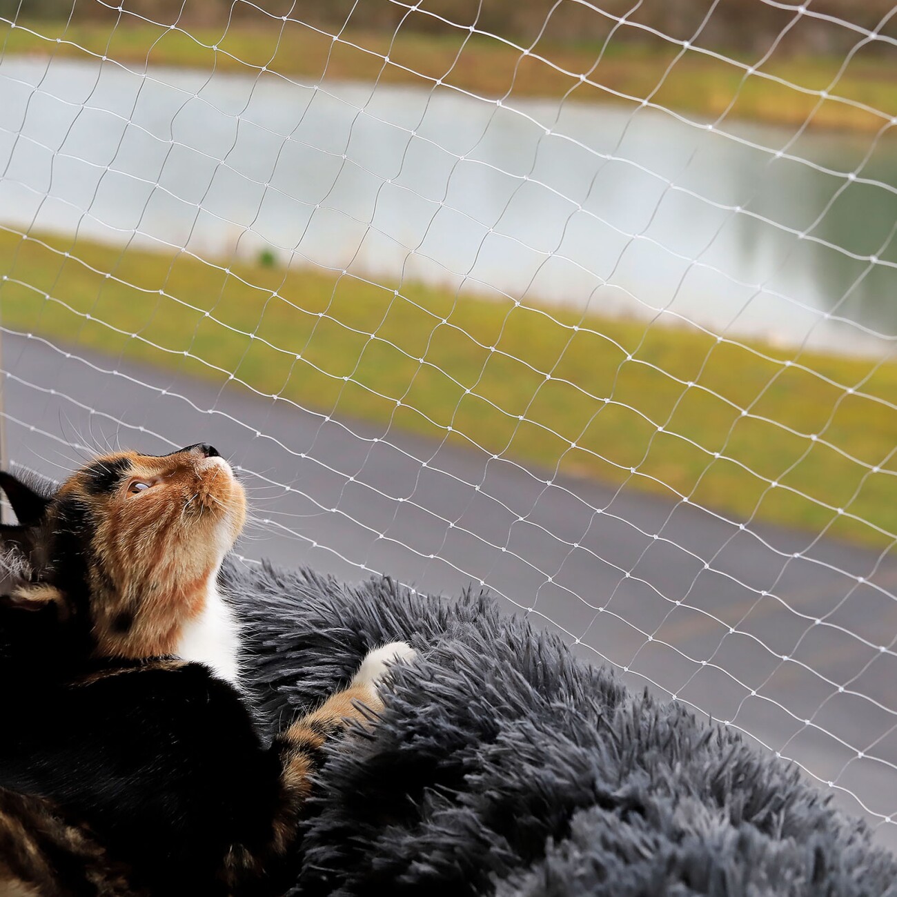 Lionto Schutznetz SoftMesh