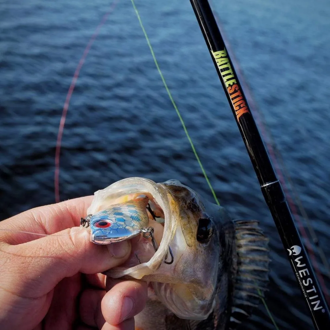 Rapala Rapala Rippin Rap Skitt Fiske Icb 7cm Egenutviklet Special Edition Fargedesign Icb