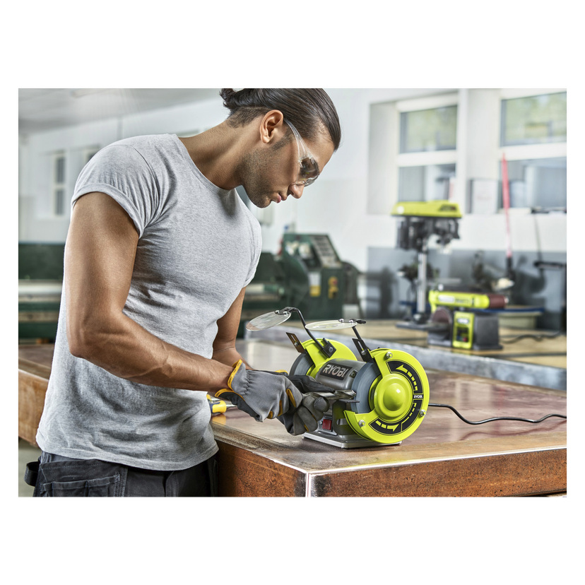 Benkslipemaskin 250 W 2850 /min 230 V