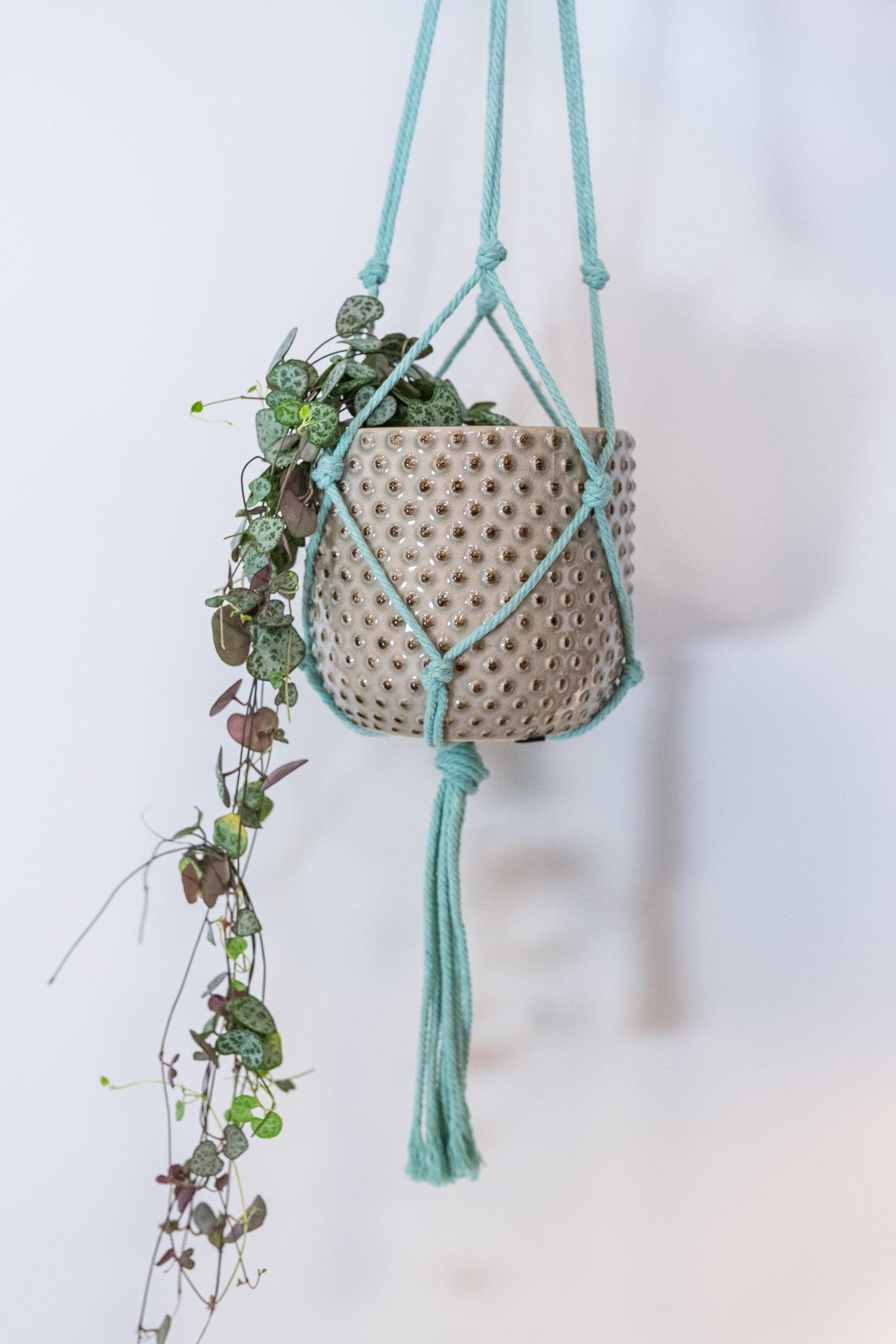 TS plantenhanger macramé mint H 120 cm