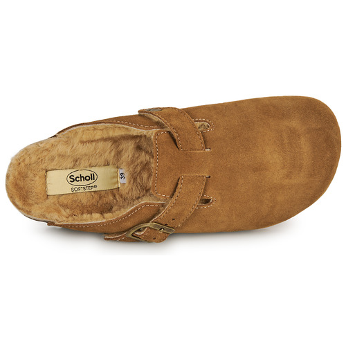 Scholl - FAE Topotea