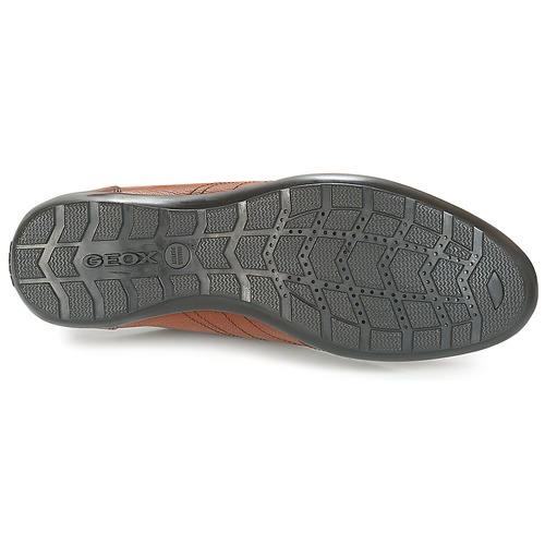 Geox - UOMO SYMBOL Marrón