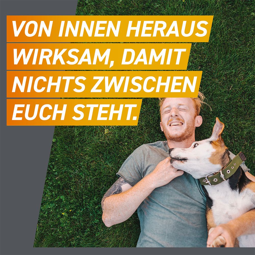 FRONTPRO® Kautablette gegen Zecken und Flöhe für Hunde (>10-25kg)