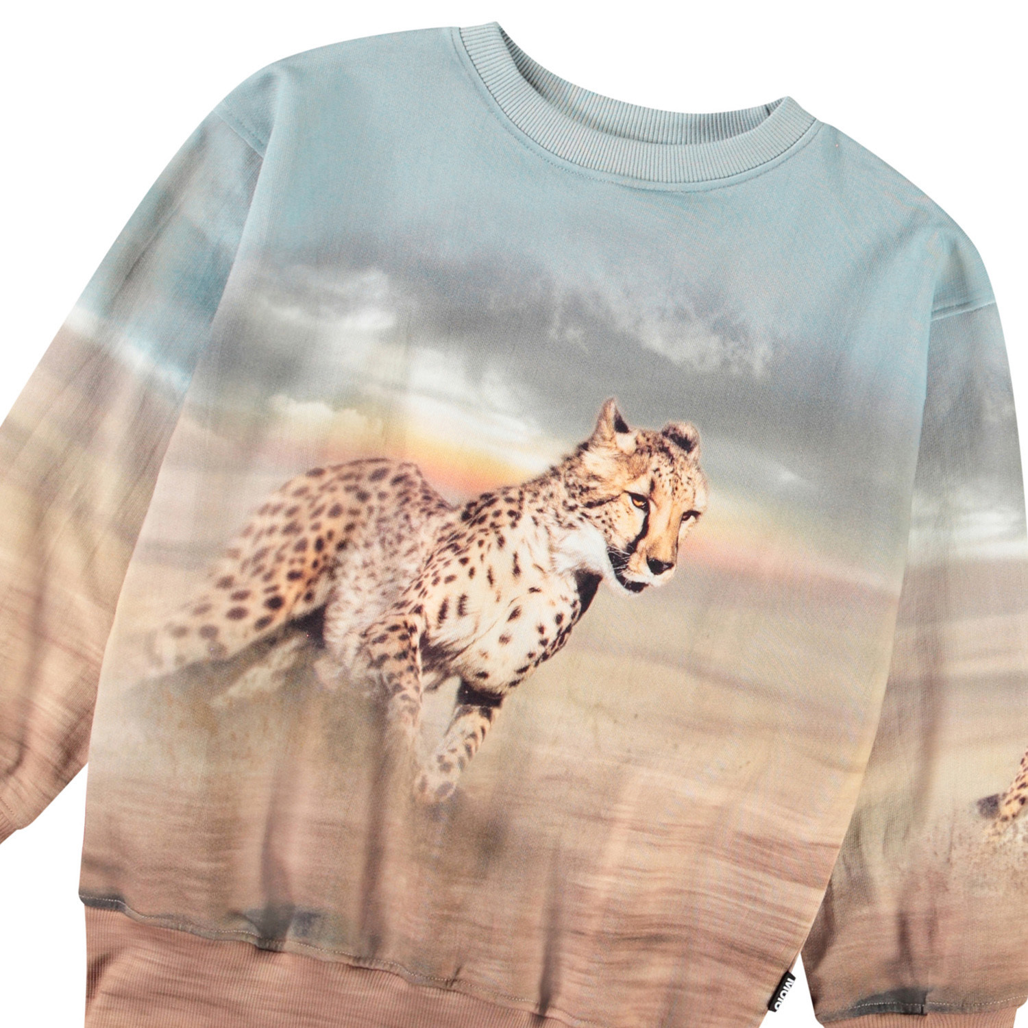 Mattis - Running Cheetahs